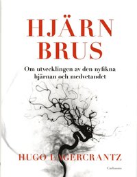 bokomslag Hjärnbrus : om utvecklingen av den nyfikna hjärnan och medvetandet