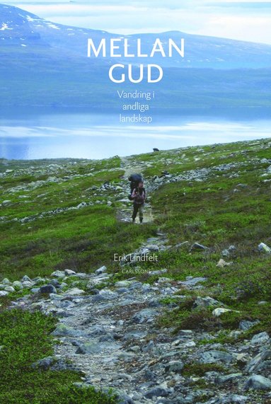 bokomslag Mellan Gud : vandring i andliga landskap