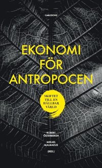 bokomslag Ekonomi för Antropocen : skiftet till en hållbar värld
