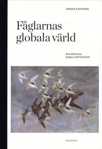 bokomslag Fåglarnas globala värld : nya rön och gammal kunskap