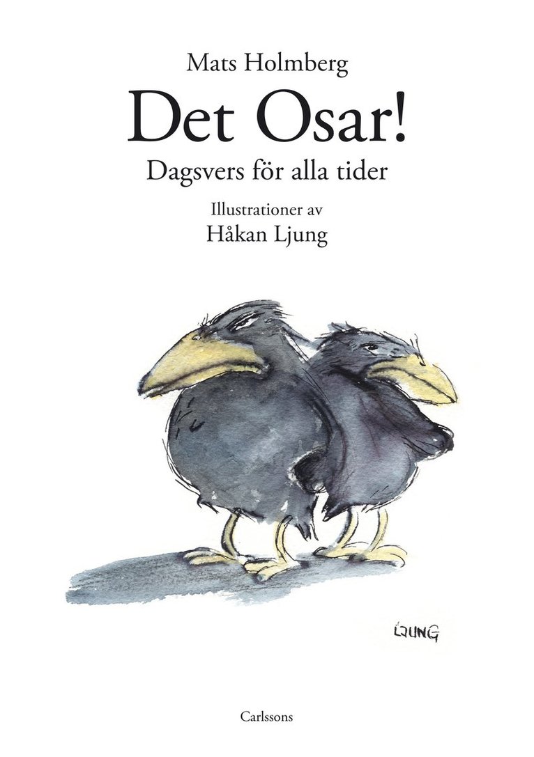 Mats Holmberg - Det osar, Inbunden