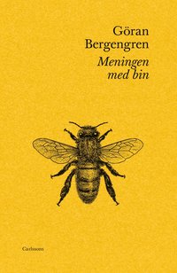bokomslag Meningen med bin