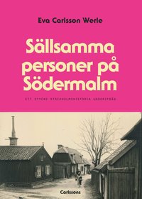 bokomslag Sällsamma personer på Södermalm : ett stycke Stockholmshistoria underifrån