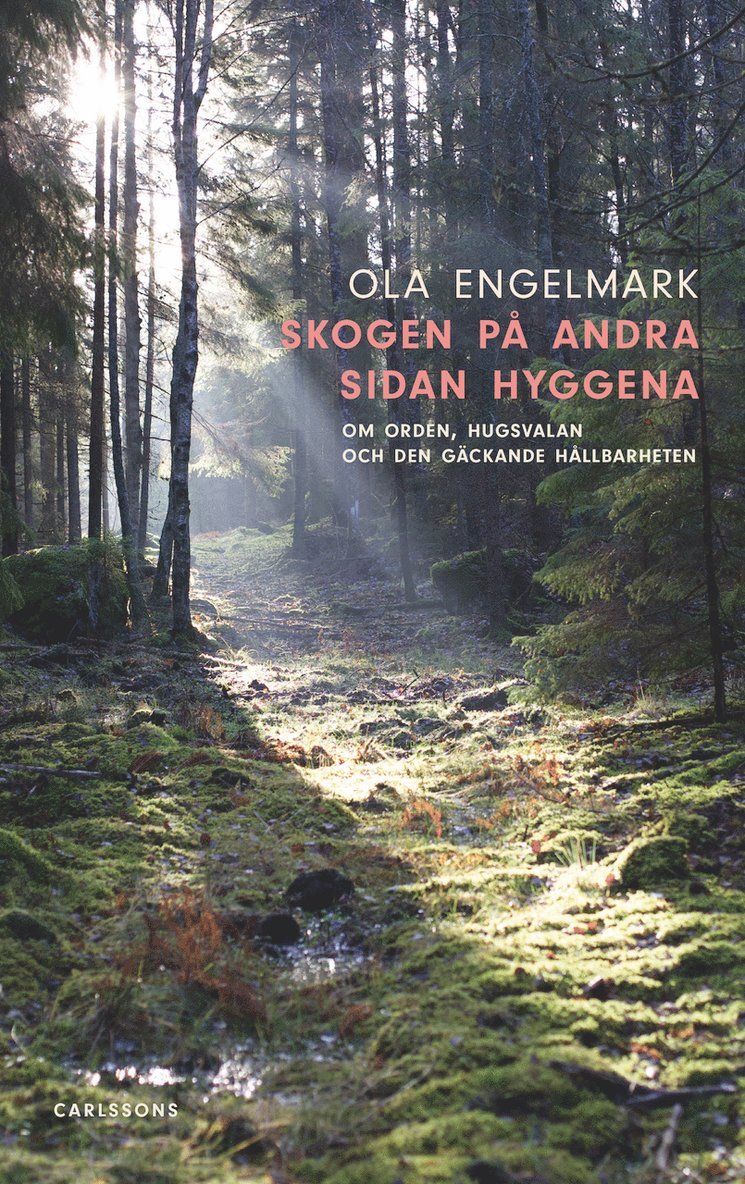 Skogen på andra sidan hyggena : om orden, hugsvalan och den gäckande hållbarheten 1