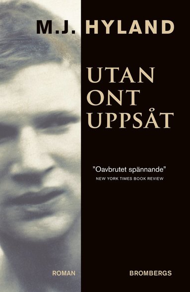 bokomslag Utan ont uppsåt