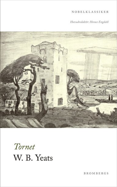 bokomslag Tornet