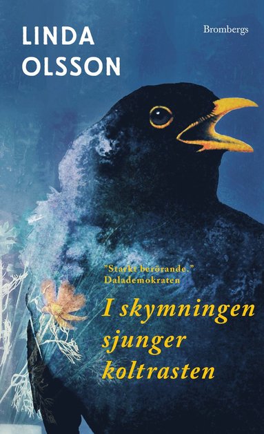 Linda Olsson - I skymningen sjunger koltrasten, Pocket