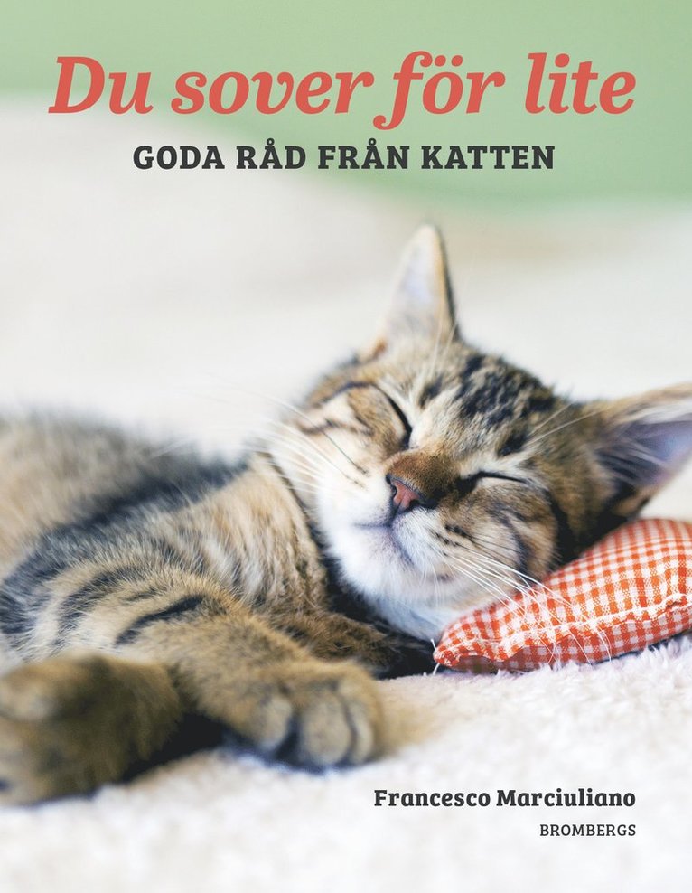 Du sover för lite : goda råd från katten 1