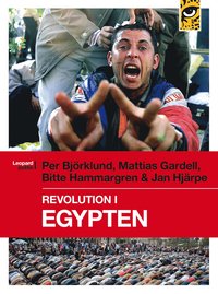 bokomslag Revolution i Egypten