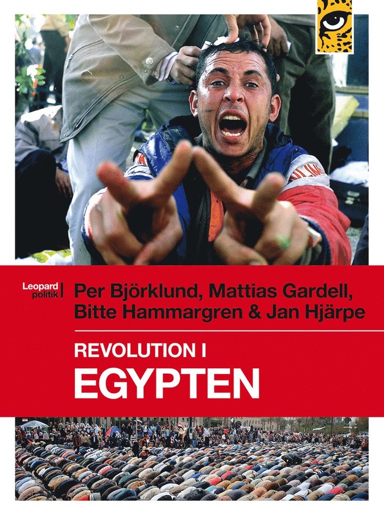 Revolution i Egypten 1