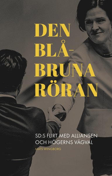 bokomslag Den blåbruna röran : sd:s flirt med alliansen och högerns vägval