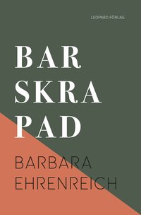 bokomslag Barskrapad : konsten att hanka sig fram