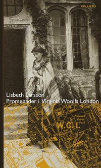 bokomslag Promenader i Virginia Woolfs London