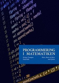bokomslag Programmering i Matematiken - Python