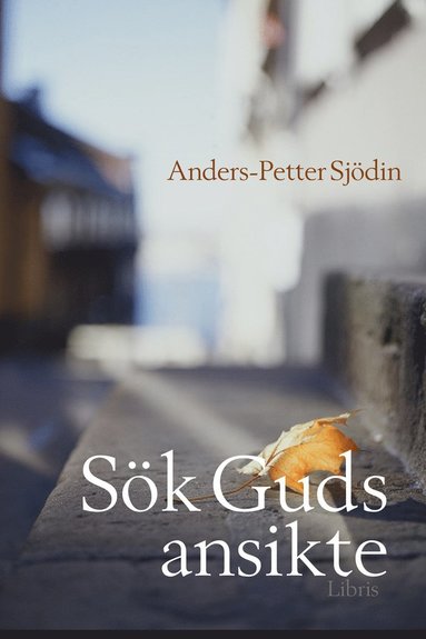 bokomslag Sök Guds ansikte