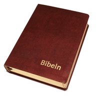 bokomslag Bibeln Cabra röd mjukband