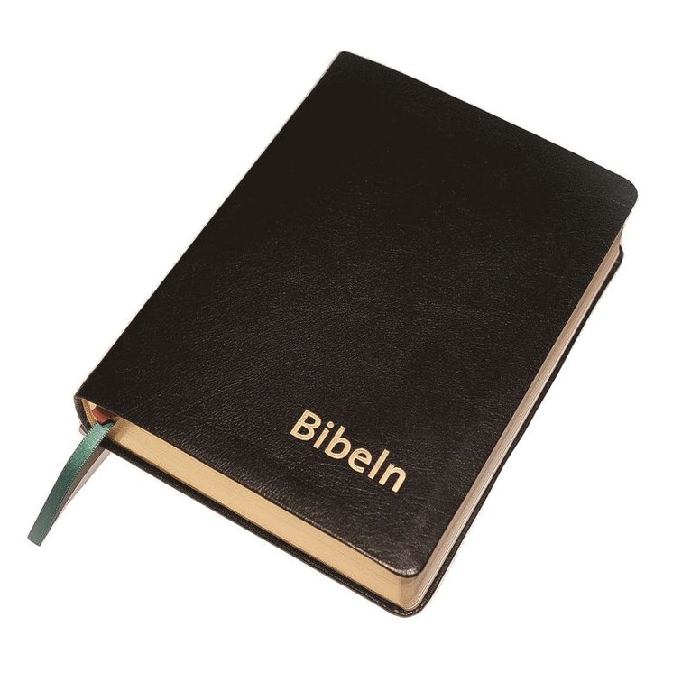 Bibeln svart skinn 1