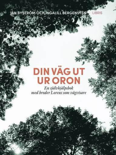 bokomslag Din väg ut ur oron : en självhjälpsbok med broder Lorens som vägvisare