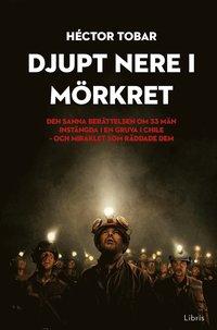 bokomslag Djupt nere i mörkret : den sanna berättelsen om 33 män instängda i en gruva i Chile - och miraklet som räddade dem