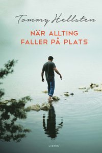 bokomslag När allting faller på plats : en bok om att finna mening