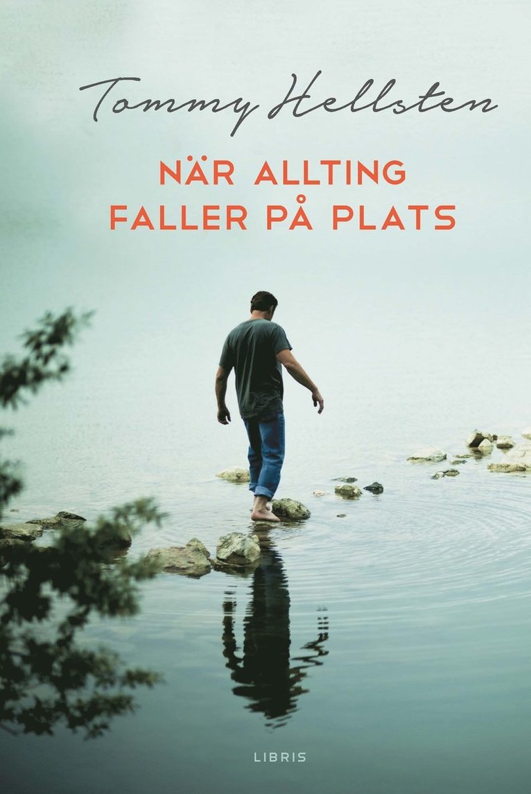 Tommy Hellsten - När allting faller på plats : en bok om att finna mening, Inbunden