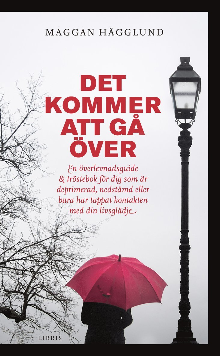 Det kommer att gå över : en överlevnadsguide och tröstebok för dig som är deprimerad, nedstämd eller bara har tappat kontakten med din livsglädje 1