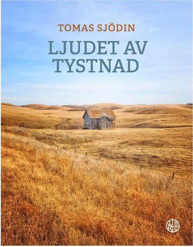 bokomslag Ljudet av tystnad