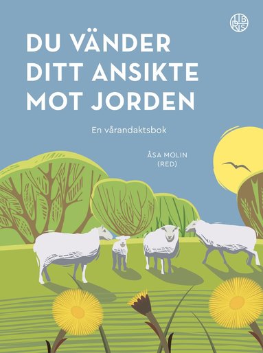 bokomslag Du vänder ditt ansikte mot jorden