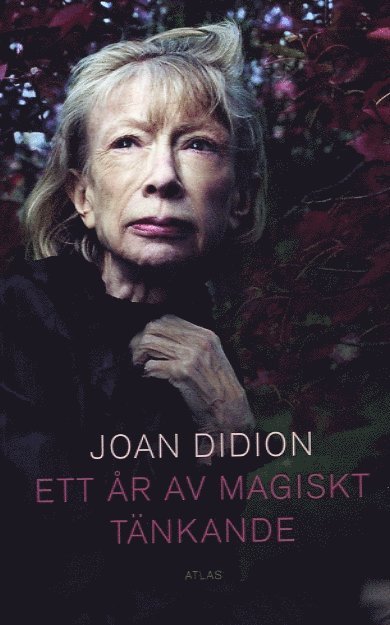 Ett år av magiskt tänkande 1