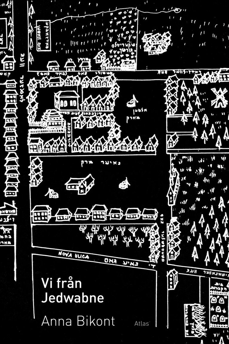 Anna Bikont - Vi från Jedwabne, Kartonnage
