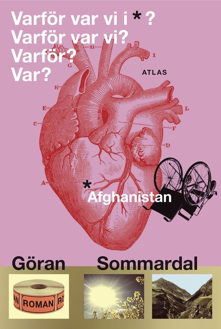 Göran Sommardal - Varför var vi i Afghanistan?, Inbunden