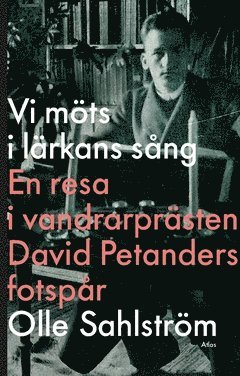 Vi möts i lärkans sång : en resa i vandrarprästen David Petanders fotspår 1