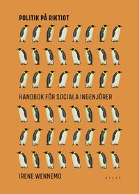 bokomslag Politik på riktigt : handbok för sociala ingenjörer