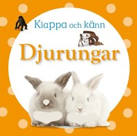 bokomslag Klappa och känn - djurungar