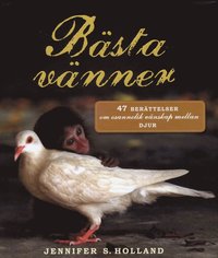 bokomslag Bästa vänner : 47 berättelser om osannolik vänskap mellan djur