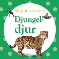 bokomslag Klappa och känn - djungeldjur