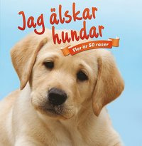 bokomslag Jag älskar hundar