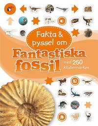 bokomslag Fakta och pyssel om fantastiska fossil