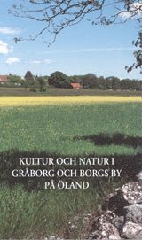 bokomslag Kultur och natur i Gråborg och Borgs by på Öland