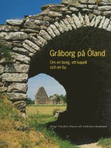 bokomslag Gråborg på Öland : om en borg, ett kapell och en by