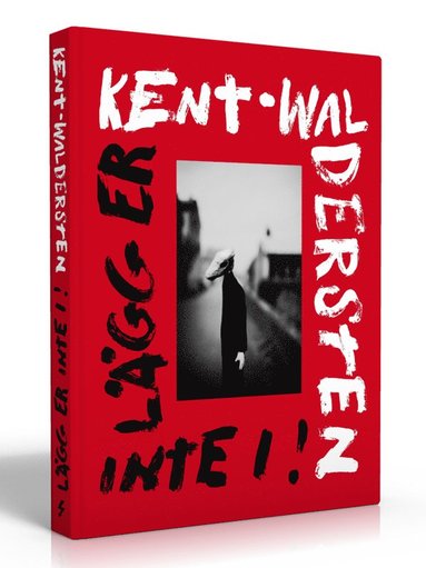 bokomslag Kent - Waldersten : lägg er inte i!
