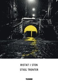 bokomslag Ristat i sten