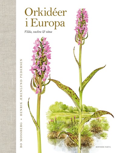 bokomslag Orkidéer i Europa : vilda, vackra & väna