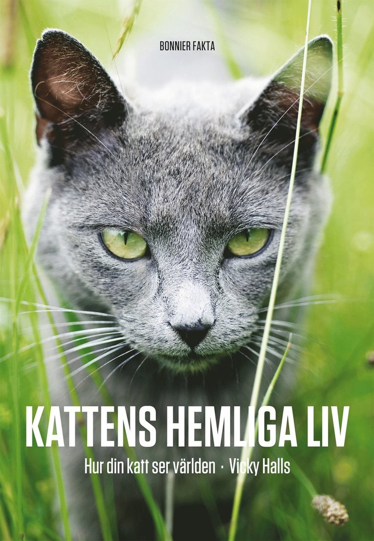 Vicky Halls - Kattens hemliga liv : hur din katt ser på världen, Inbunden