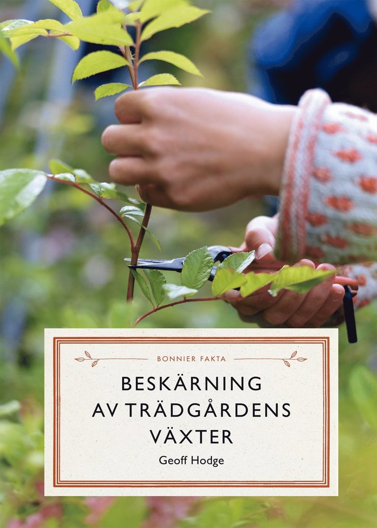 Beskärning av trädgårdens växter