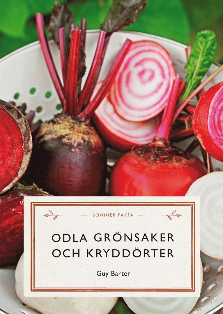Odla grönsaker och kryddörter