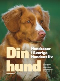 bokomslag Din hund : hundraser i Sverige - hundens liv