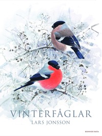 bokomslag Vinterfåglar