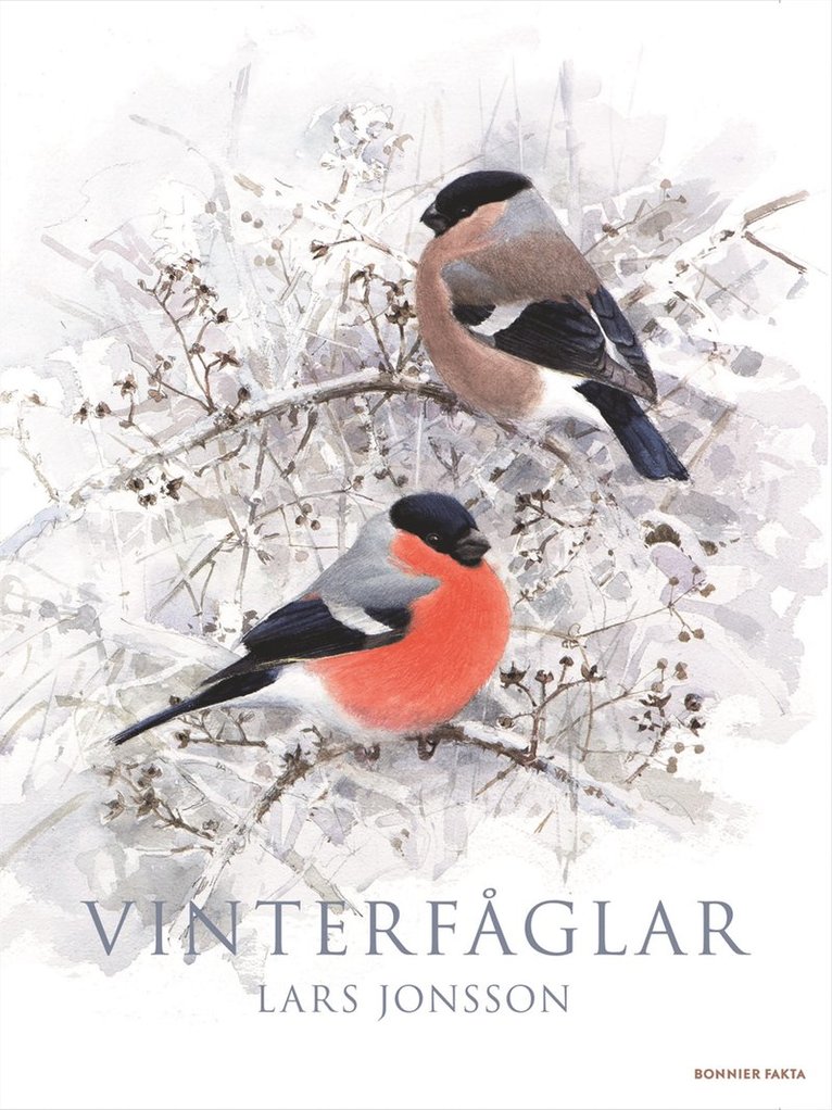 Vinterfåglar 1