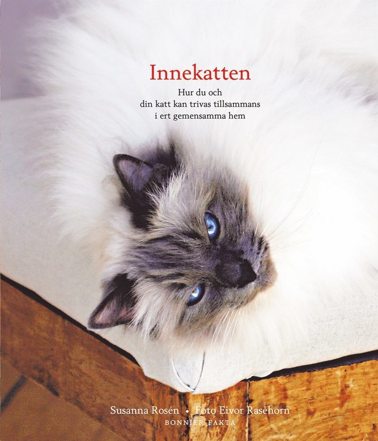 Susanna Rosén - Innekatten : hur du och din katt kan trivas tillsammans i ert gemensamma hem, Inbunden